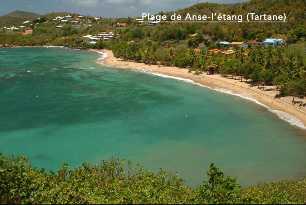 F3 Hibiscus - Piscine Chauffee - Vue Mer - 9 Min De La Plage - Ti Zwezo Paradi La Trinité Kültér fotó