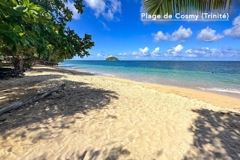 F3 Hibiscus - Piscine Chauffee - Vue Mer - 9 Min De La Plage - Ti Zwezo Paradi La Trinité Kültér fotó