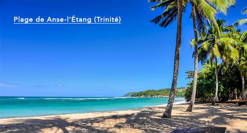 F3 Hibiscus - Piscine Chauffee - Vue Mer - 9 Min De La Plage - Ti Zwezo Paradi La Trinité Kültér fotó