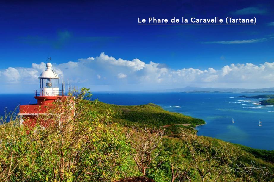 F3 Hibiscus - Piscine Chauffee - Vue Mer - 9 Min De La Plage - Ti Zwezo Paradi La Trinité Kültér fotó