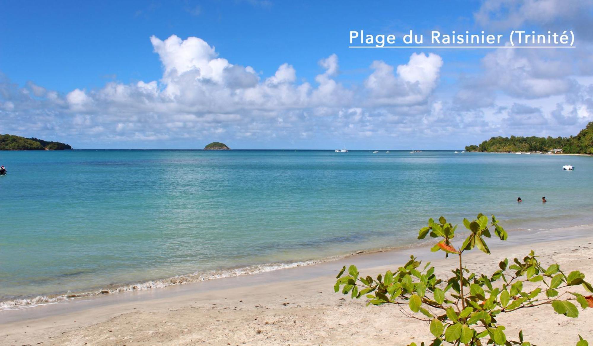 F3 Hibiscus - Piscine Chauffee - Vue Mer - 9 Min De La Plage - Ti Zwezo Paradi La Trinité Kültér fotó